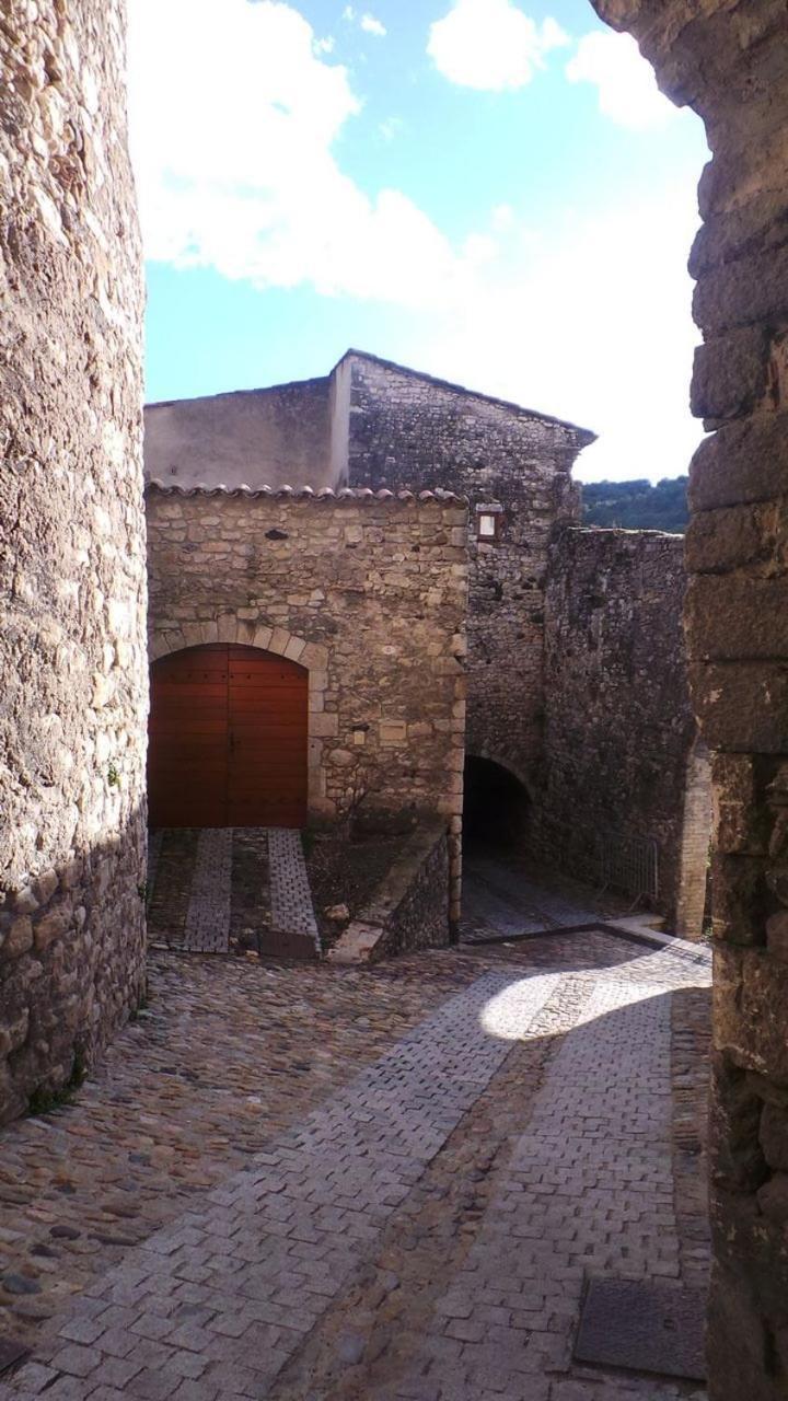 Villa Maison Familiale Du Clos Saint Roch Viviers Exterior foto